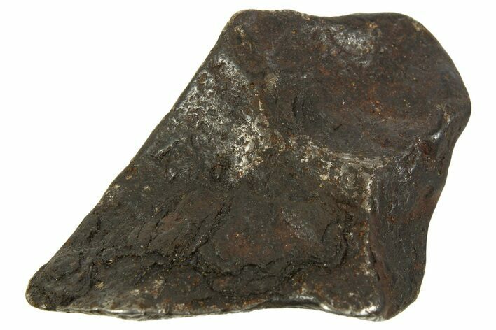 Canyon Diablo Iron Meteorite ( g) - Arizona #335979